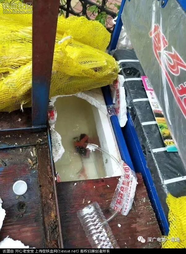 一条甘蔗榨5瓶蔗汁?街头鲜榨蔗汁竟暗掺臭污水(图3) 一条甘蔗榨5瓶蔗汁?街头鲜榨蔗汁竟暗掺臭污水